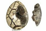 Polished Septarian Puzzle Geode - Black Crystals #191407-2